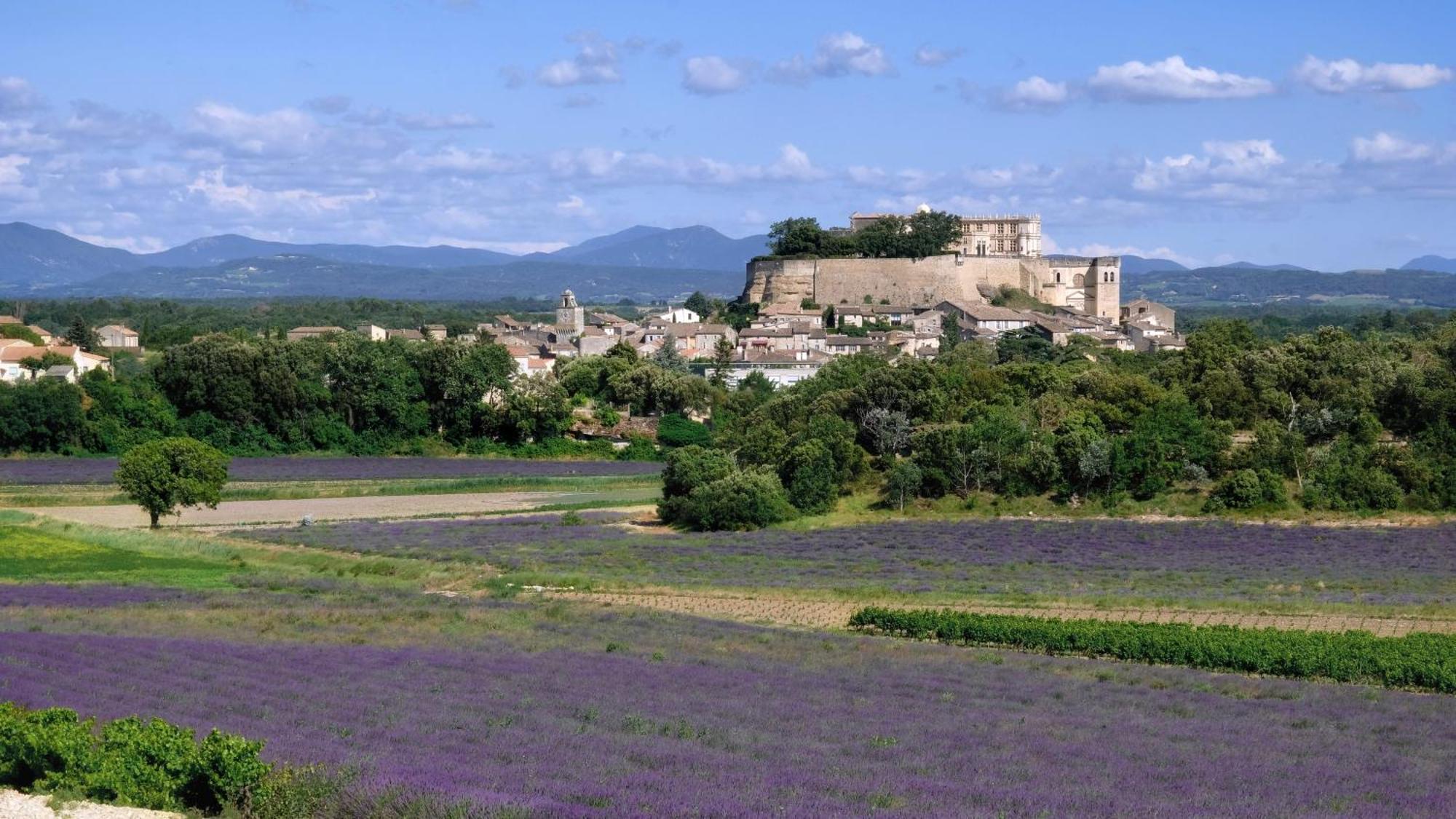 La Ferme Chapouton - Teritoria Hotel Grignan Exterior photo